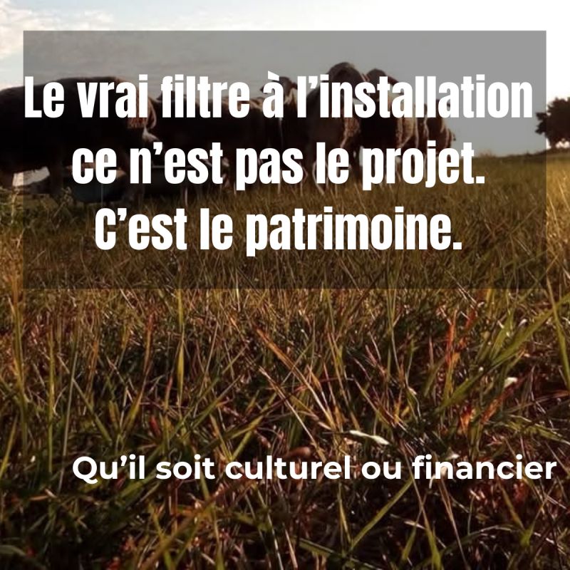 le vrai filtre Patrimoine culturel et financier important.